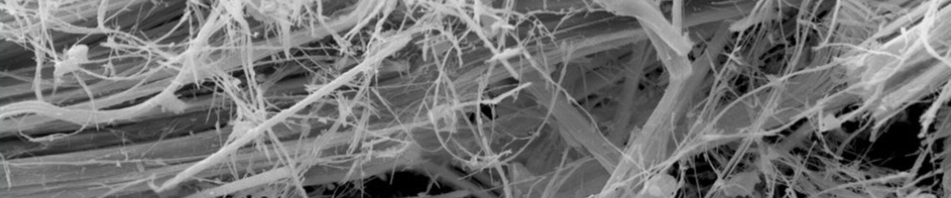 Amiante de chrysotile dans cordon amianté, image MEB | © CRB Analyse Service GmbH