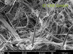 REM-Bild Chrysotil-Asbest in  Flachdichtung | © CRB Analyse Service GmbH