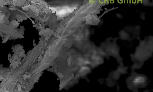 SEM-picture of chrysotile asbestos in glazing putties | © CRB Analyse Service GmbH